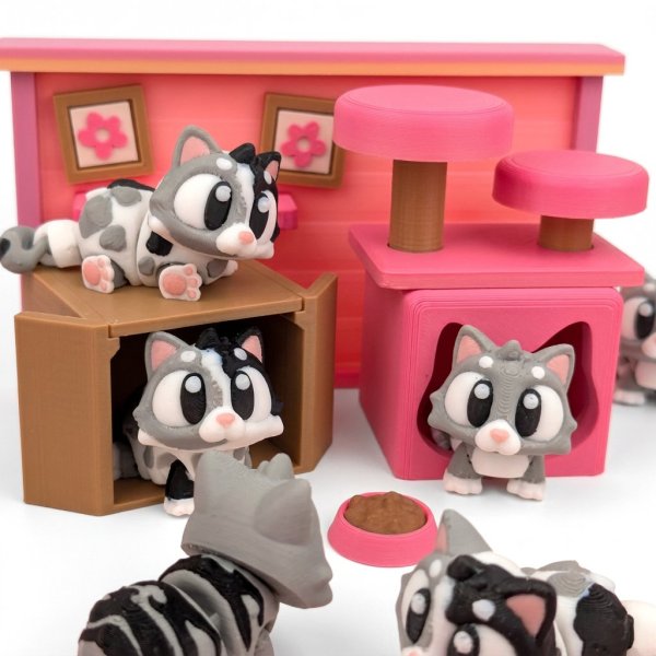 Producto - Set Gato con Accesorios - 0