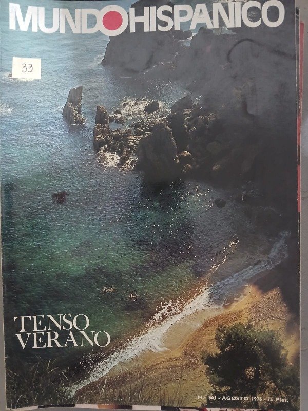 Producto - REVISTA MUNDO HISPANICO N 341