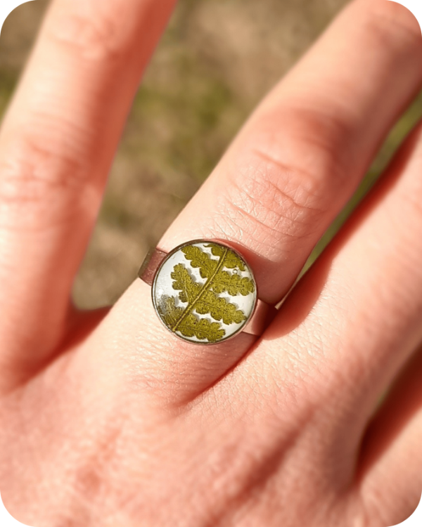 Producto - Anillo Helecho blanco