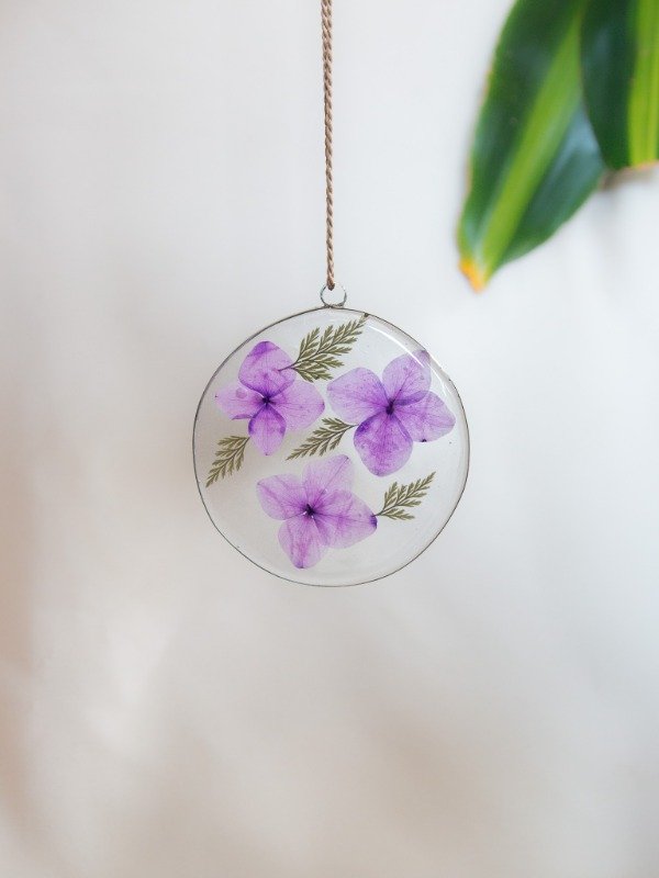 Producto - Hortensias - 2