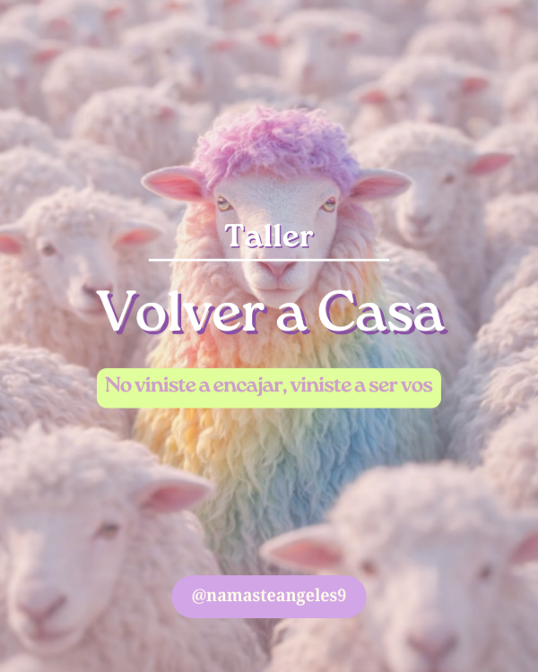 Producto - Taller Volver a Casa
