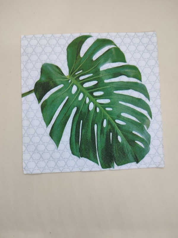 Producto - Monstera
