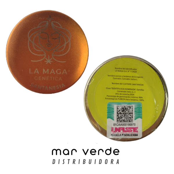 Producto - Semillas Santanesia La Maga (Fem.Fotop.) - 1