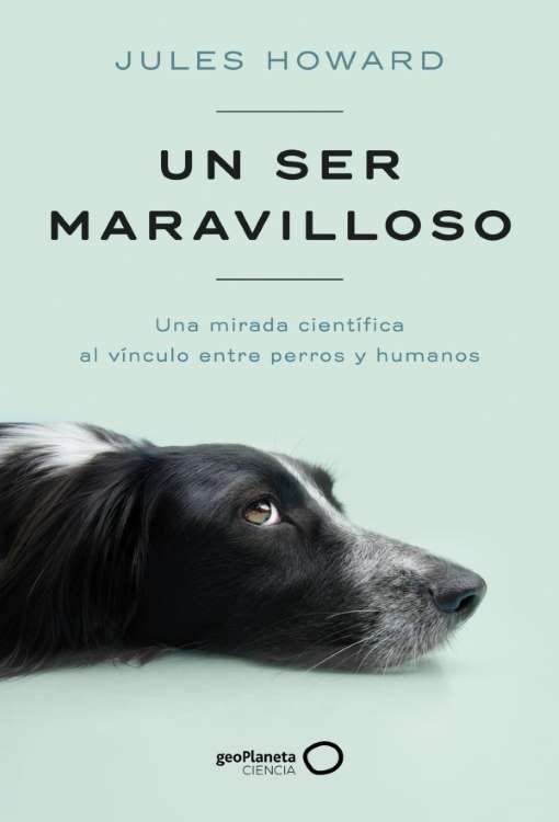 Producto - Un ser maravilloso - Jules Howard