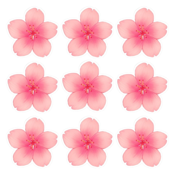 Producto - Flores comestibles rosa pack x12un