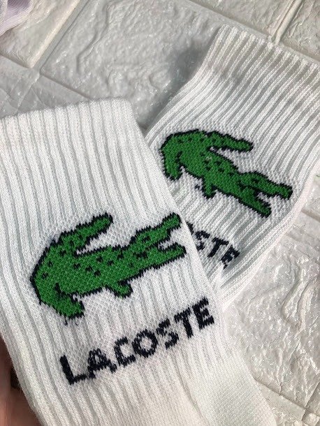 Producto - LACOSTE TENIS
