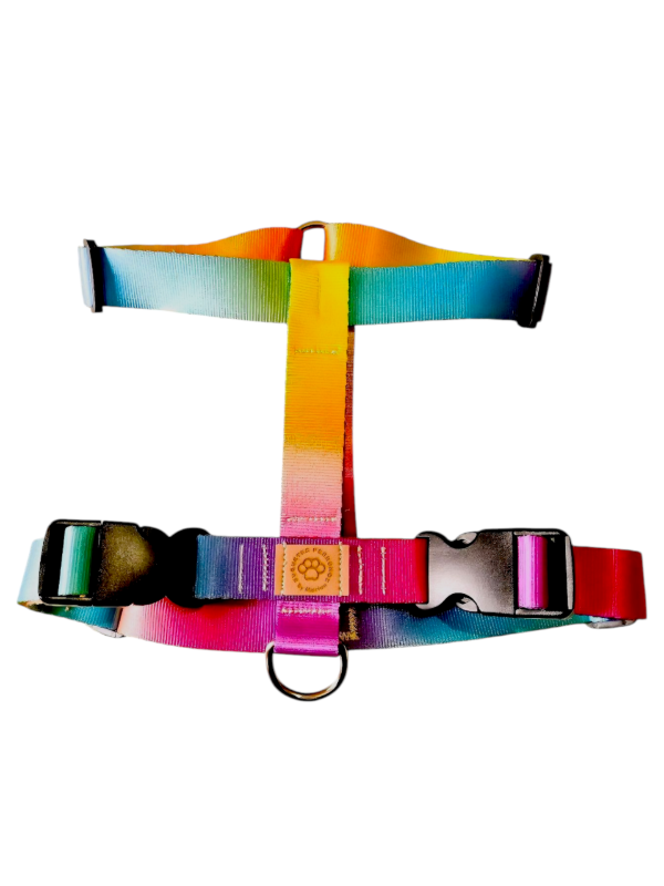 Producto - PRETAL H  ANTI TIRONES/ANTI ESCAPE RAINBOW