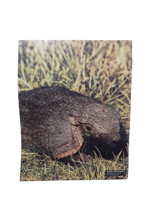 Miniatura de producto - 7