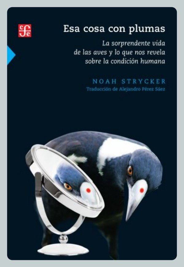 Producto - Strycker: Esa Cosa con Plumas