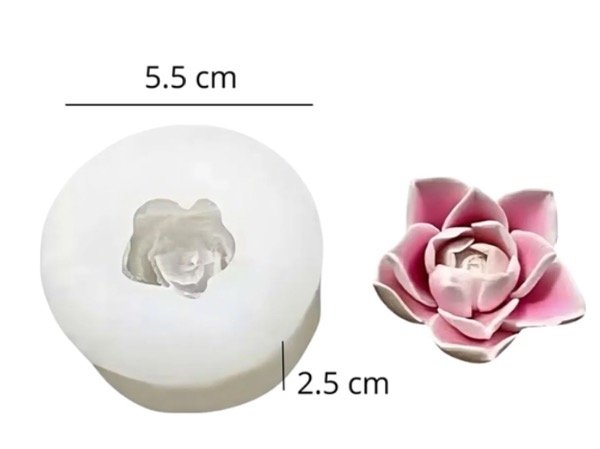 Producto - MOLDE SILICONA SUCULENTA3