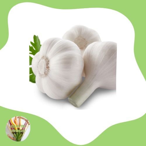 Producto - Ajo morado -1unid