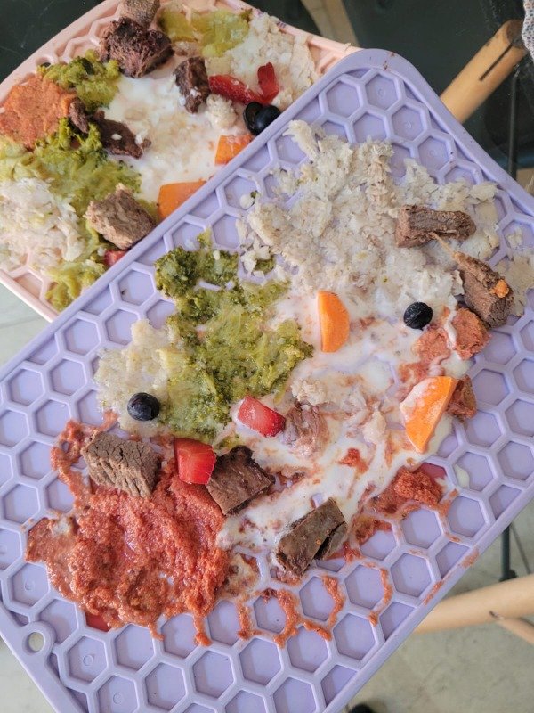 Producto - Alfombra de lamido