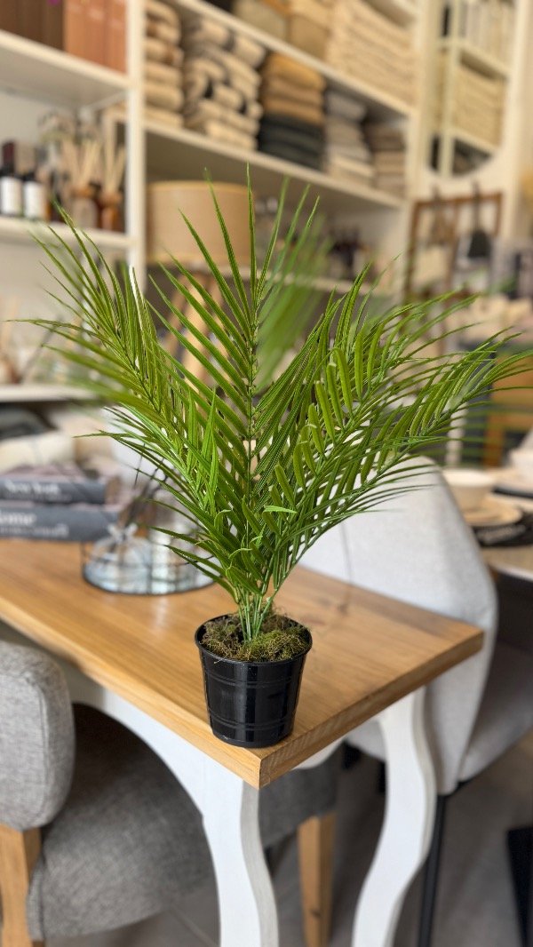 Producto - Palmerita Mini