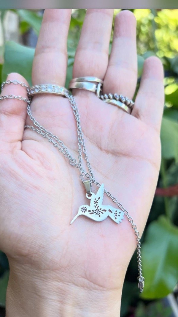 Producto - 2 collares de acero con dije colibrí