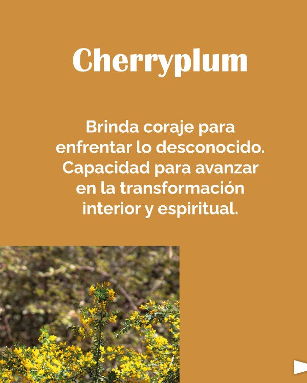 Miniatura de producto - 7