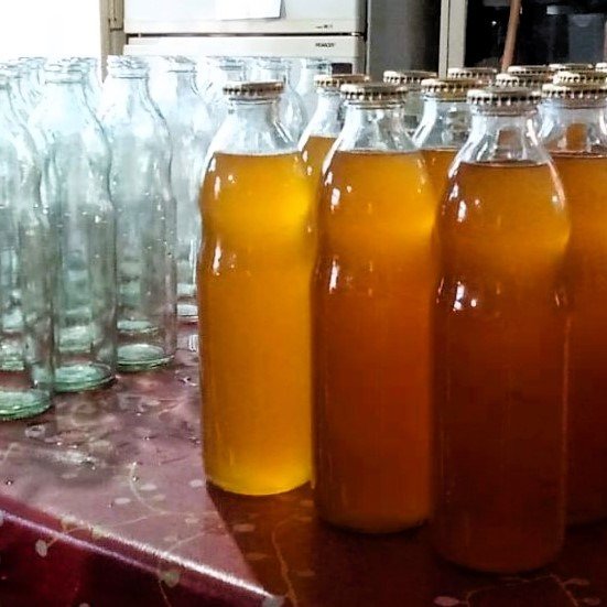 Producto - Jugo concentrado POMELO y ALBAHACA La Porfía x 500 cc (para diluir)