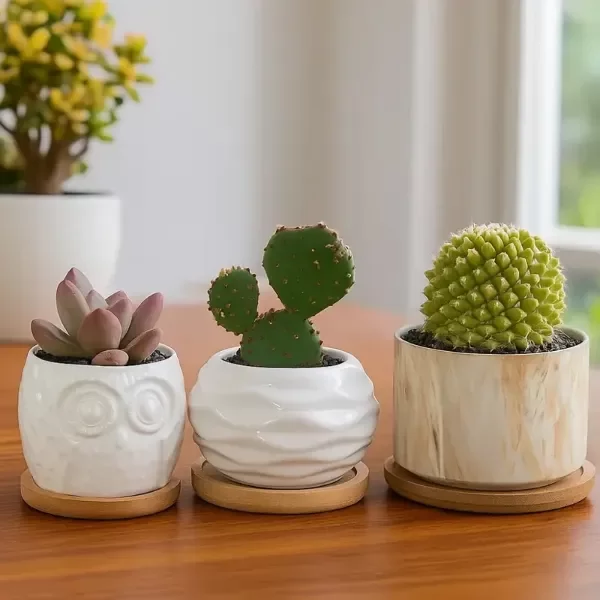 Producto - PLATOS RÚSTICOS