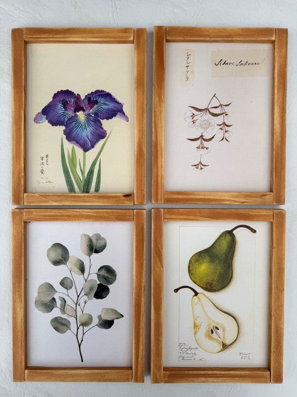 Producto - Cuadritos de ilustraciones vintage - 2