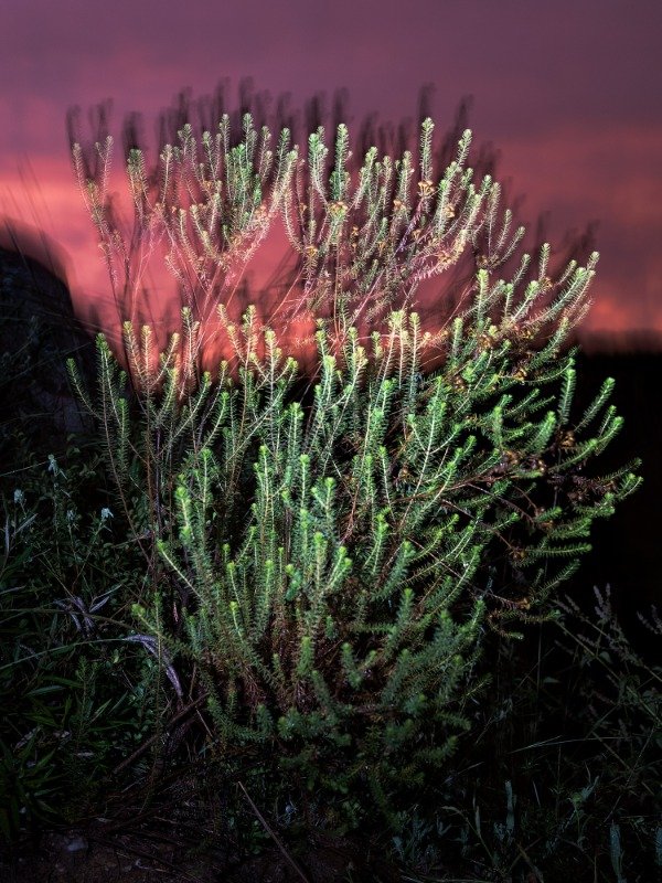 Producto - Impresión Fine Art - Enmarcado - Medidas variables - 19