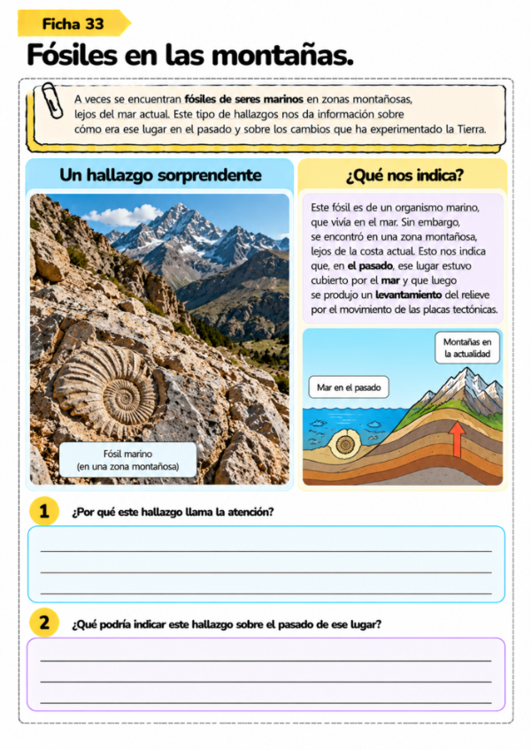 Producto - Rocas y fósiles Parte 2: La Tierra por dentro, placas tectónicas y sus cambios - 12