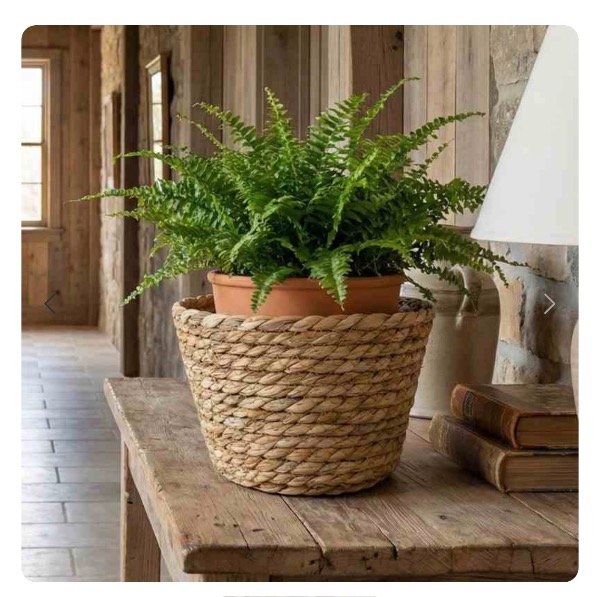 Producto - Cesto chico macetero seagrass  20 x 12cm