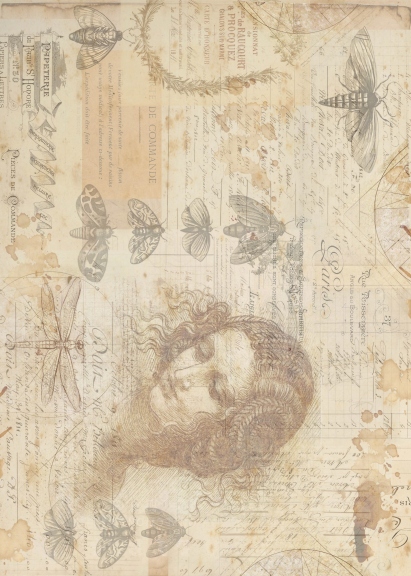 Producto - Florence20