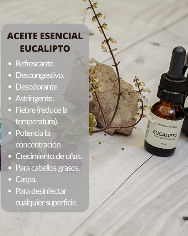 Producto - Aceite esencial Eucalipto