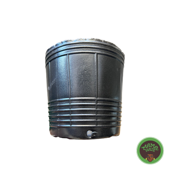 Producto - Maceta Soplada 5L