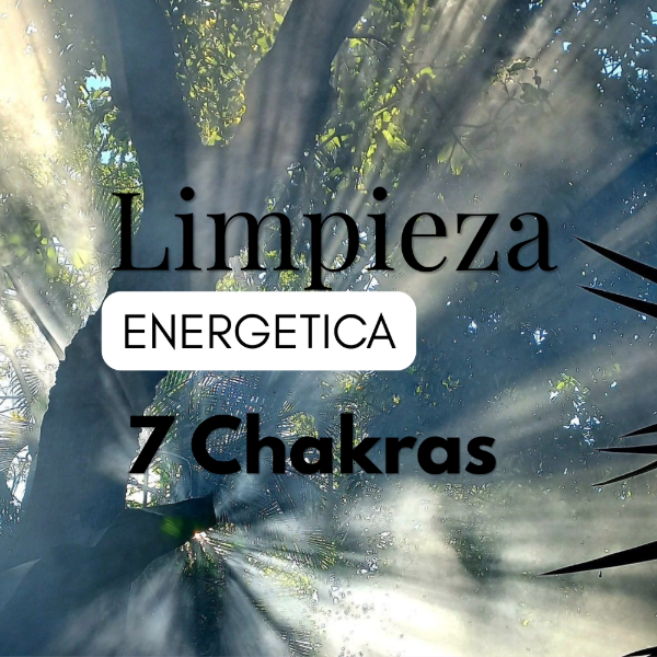 Producto - Limpieza de los 7 Chakras