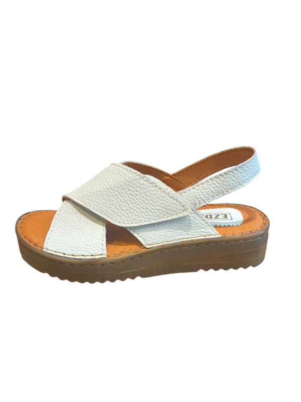 Producto - ED 2065