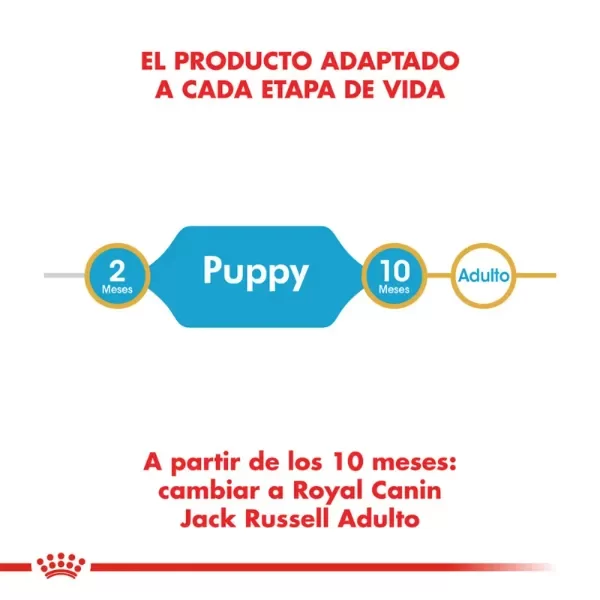 Producto - Alimento Royal Canin Perro Cachorro Jack Russell - 3Kg - 3