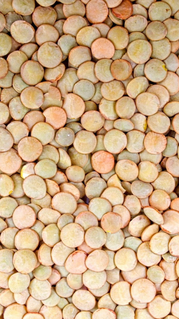 Producto - Lenteja 1kg