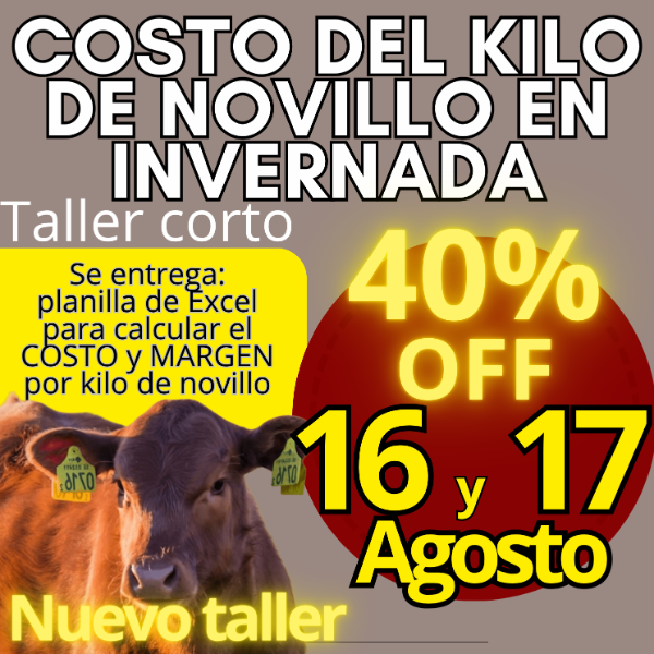 Producto - Taller corto: cálculo del costo del kilo de novillo
