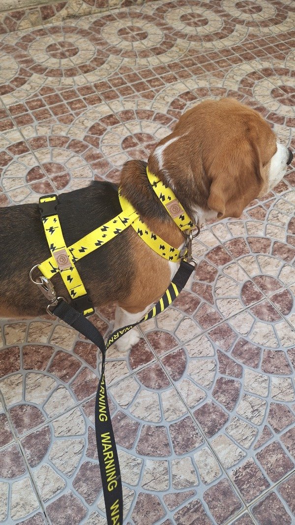 Producto - PRETAL H  ANTI TIRONES/ANTI ESCAPE RAYOS