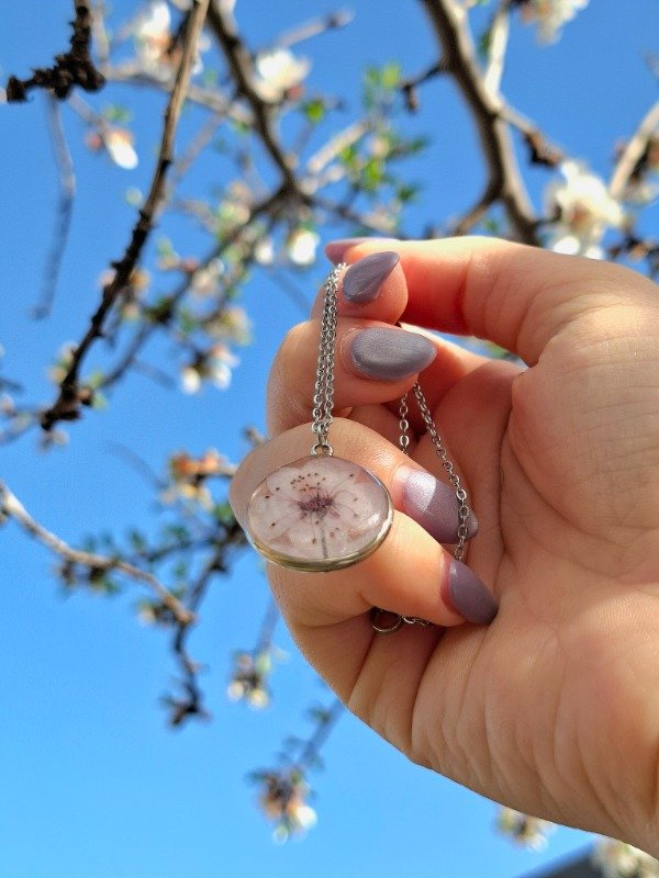 Producto - sakura