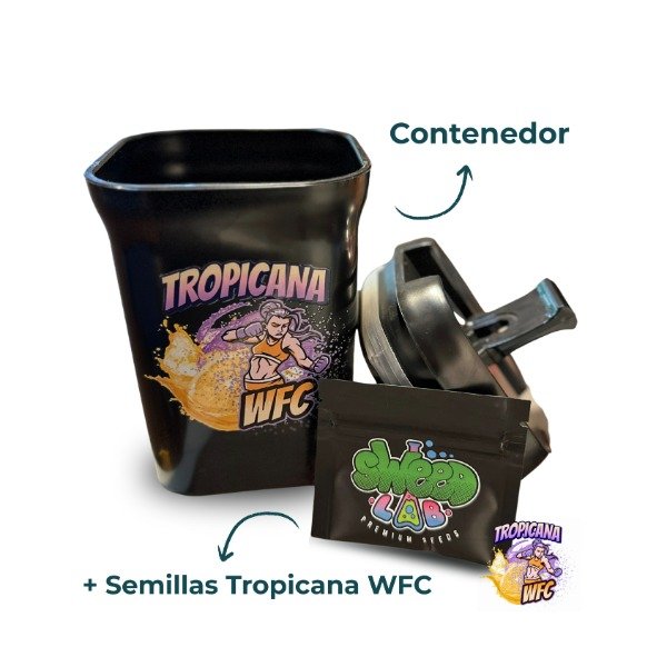 Producto - Contenedor Hermético + Blister de semilla Tropicana WFC