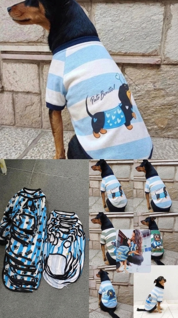 Producto - PACK 24 GANALE EL 100