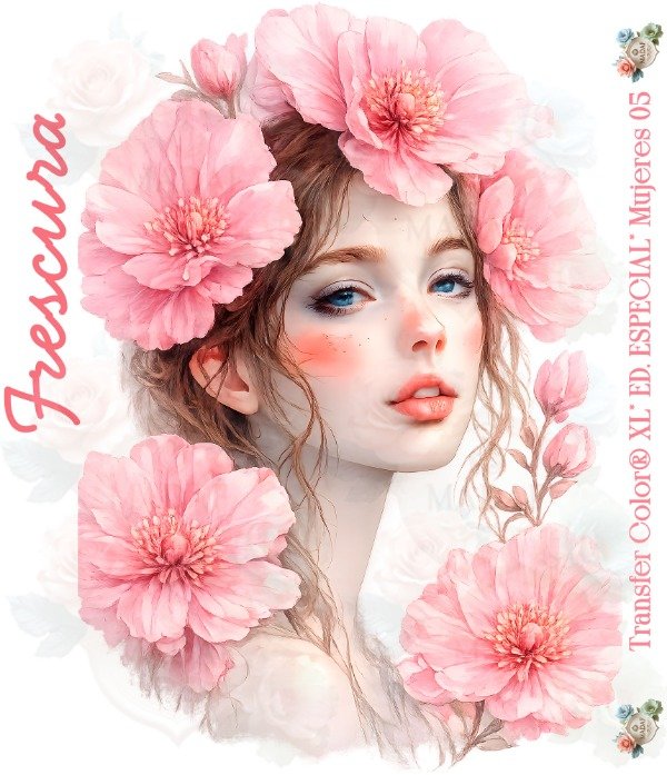 Producto - TRANSFER COLOR XL MUJERES 05