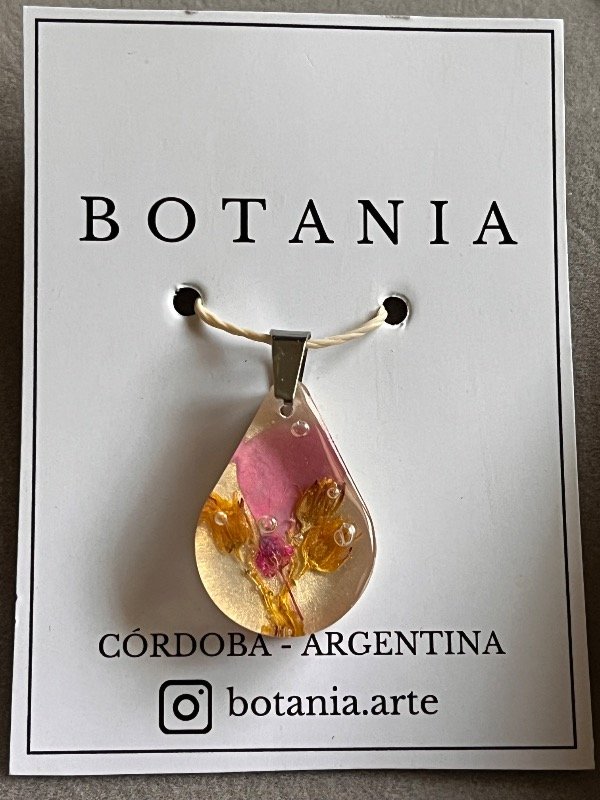 Producto - Variedad 26 - 0