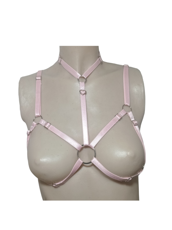 Producto - Arnés Delphina