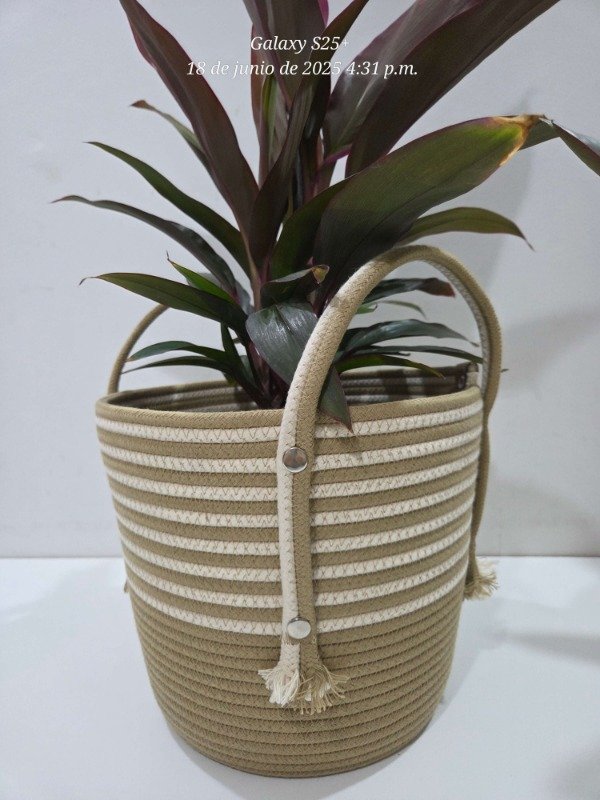 Miniatura de producto - 5