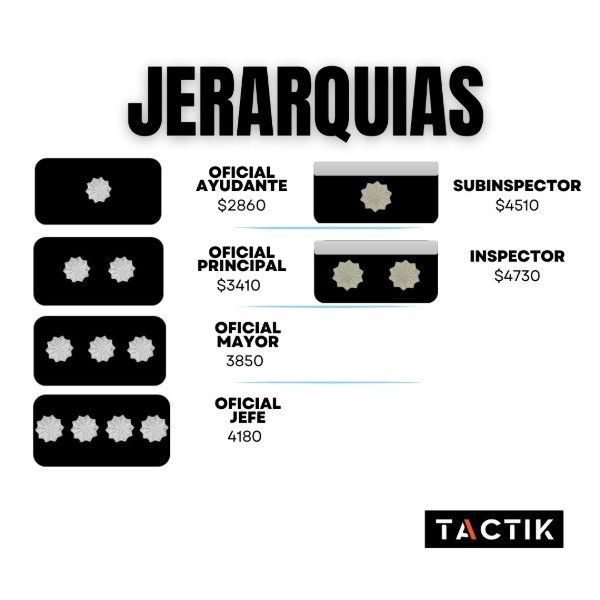 Producto - Jerarquías Pectorales BDU