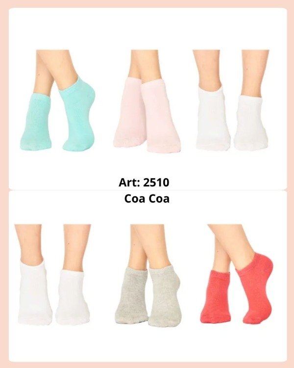 Producto - 2510