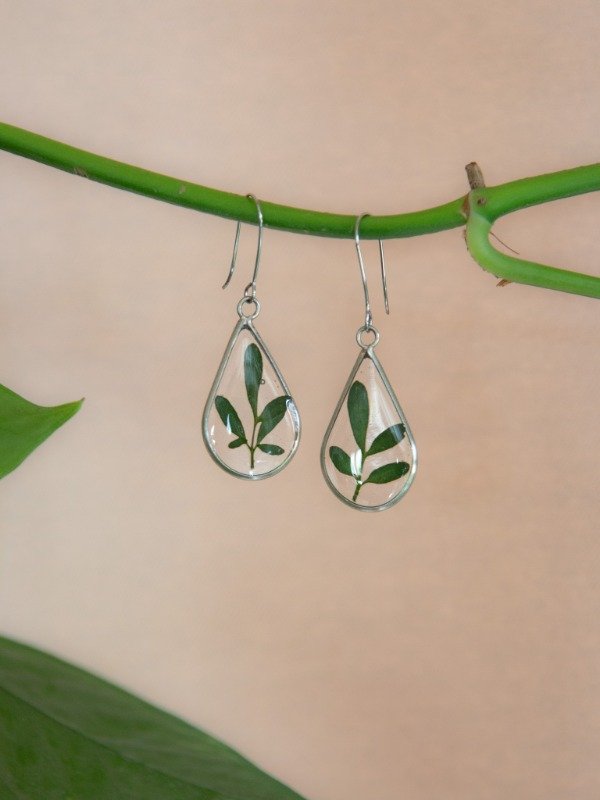 Producto - Rudas