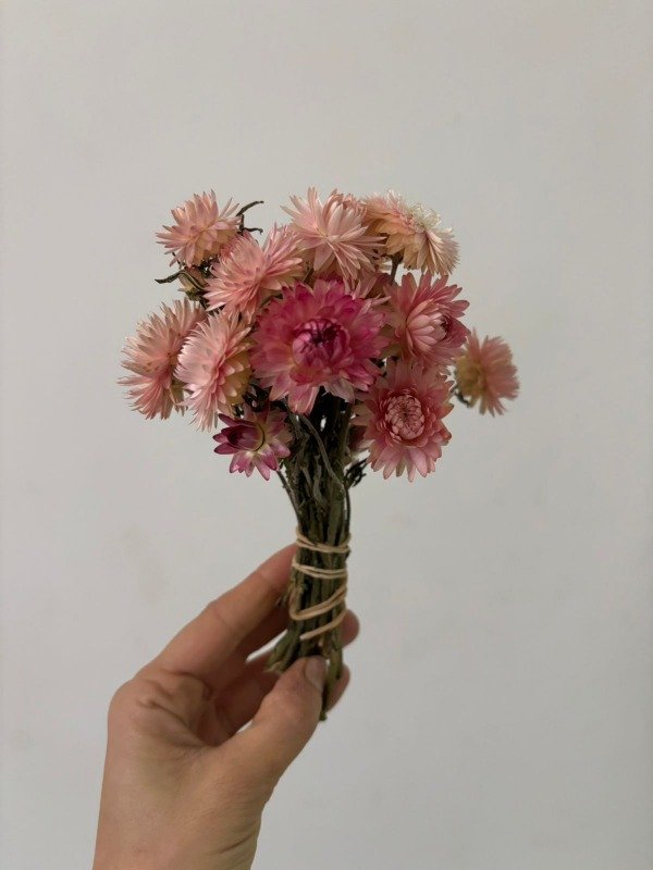 Producto - Siempreviva ramo