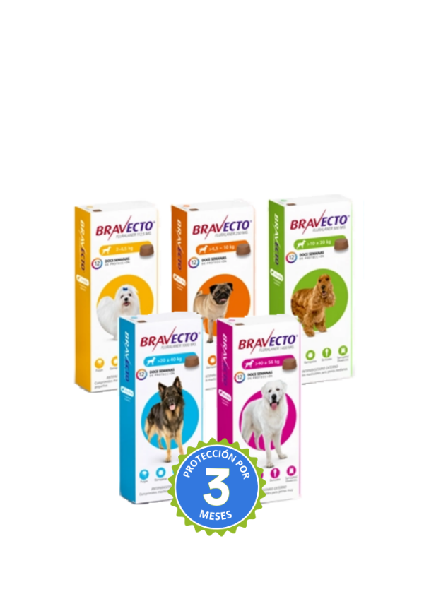 Producto - Comprimido Bravecto (anti pulgas, garrapatas y parásitos)