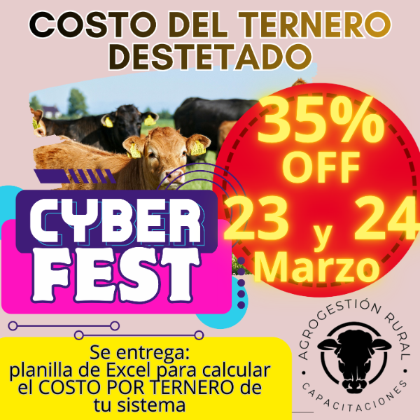 Producto - Taller Online: Costo del Ternero