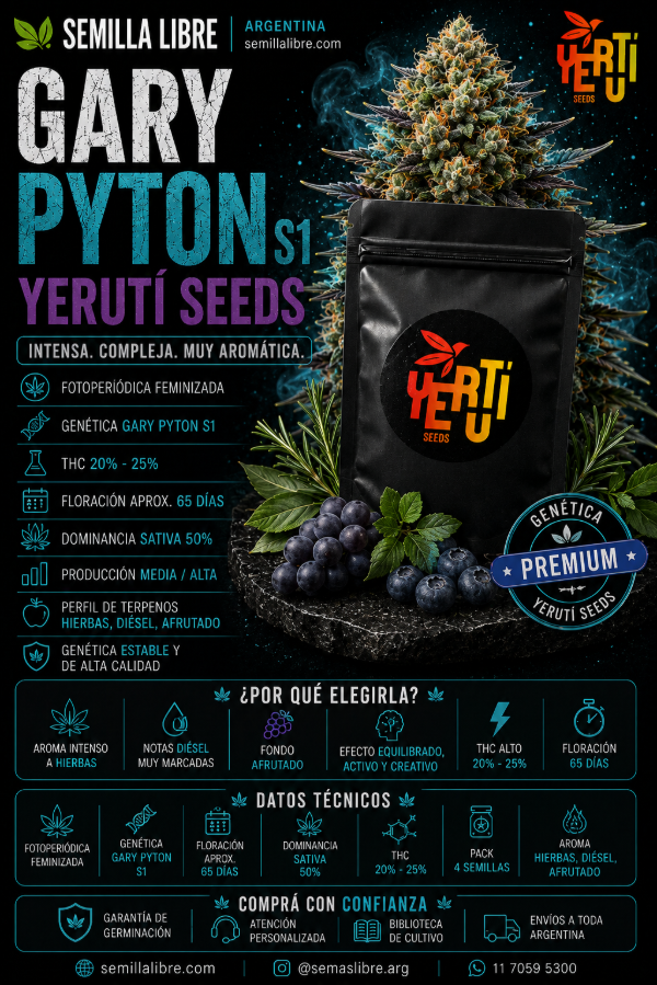 Producto - GARY PYTON- YERUTÍ. Pack 4 semillas - 1