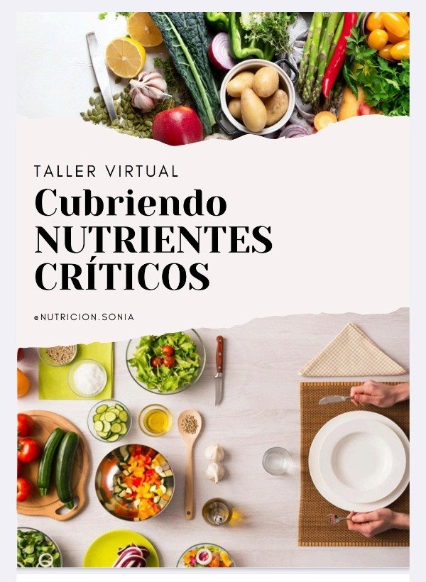 Producto - Taller CUBRIENDO NUTRIENTES CRÍTICOS