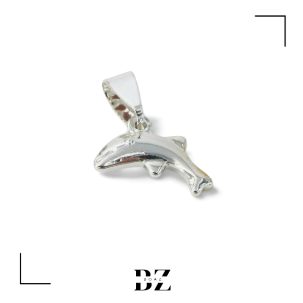 Producto - DIJES DE ACERO BLANCO INFLADO CHI X PCS - 1328-9